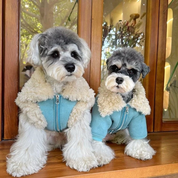 winter dresses for dogs Luxury Warm Dog Clothes Schnauzer Bichon Frise Teddy and Shiba Inu Winter Warm Pet Dog sale2023 Cleopatra Costume Black Dress Size:custom