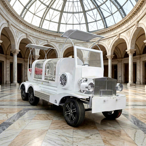 Cercueil électrique/à chevaux de style européen, blanc pur, véhicule funéraire, camion-cercueil, équipement funéraire - Product Image 1