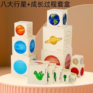 Juego de caja de madera <span class=keywords><strong>con</strong></span> forma de siete capas para niños, torre de madera, tamaño de madera, forma cognitiva, rompecabezas emparejado, juguetes de Educación Temprana, pila alta Kai - Product Image 2