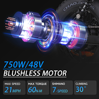 Dropshipping Entrepôt Américain Nouveau Style Vélo Électrique à Gros Pneus 16 Pouces 750W 48V VTT Rapide pour Adultes