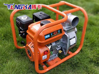 Pompe à essence Tengka 15HP 8.3L à démarrage électrique, moteur robuste pour l'Afrique, l'Afrique du Sud, le Congo, réduction sur les achats en gros, OEM disponible