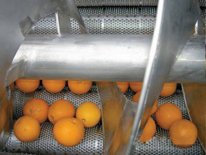 Máquina de Extracción de Aceites Esenciales con Certificación CE para Plantas de Rosa, Lavanda y <span class=keywords><strong>Naranja</strong></span> - Product Image 4