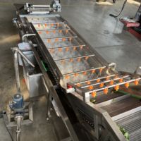 Bijl Volautomatische Groentefruitverwerkingslijn Omvat Het Sorteren Van Het Drogen Van De Warmtewisselaar Voor Het Drogen Van De Snij Voor Voedselverwerking