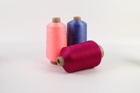 Fil de nylon 70D/2, fil de nylon recyclé, fil 100% nylon polyamide pour le tricot de chaussettes