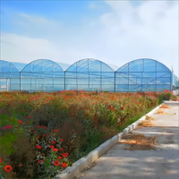 Serre de culture hydroponique en verre à travée multiple avec système de refroidissement pour la plantation