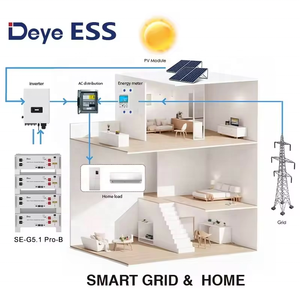 Batería de Iones de Litio SE-G5.1 Pro-B de 5kwh, 48v, Lifepo4, 100ah, 200ah, de Alto Voltaje, para Uso Doméstico, Batería Solar, UE, Ucrania - Product Image 3