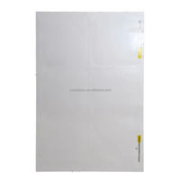 Technique avancée N IBC Cellule solaire Noir Blanc Couleur 188*485mm 18W 6.6V Mono Double Verre Panneau solaire Bandes de longueur 24.5%