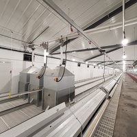 Trémie d'alimentation pour poulet, stockage automatique, vis de volaille, convoyeur, ferme, Machine en acier