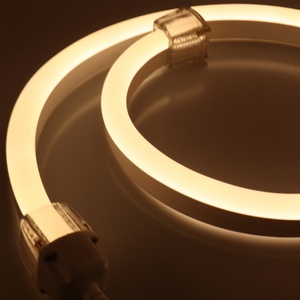 Lampe néon flexible de haute qualité, bande flexible pour la décoration, lumière néon LED personnalisée 26*15mm - Product Image 3