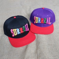 Sombreros deportivos personalizados con logotipo de fábrica china de alta calidad que viajan para hombres y mujeres Gorra de béisbol Gorras Snapback