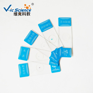 New <b>microscope</b> specimens, custom biological slides, 35-slide biological kit, for primary school teaching. - Product Image 4