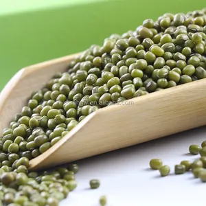 High-quality Mung Beans Exported To The Vietnamese Market Have An Excellent Environment Of Origin