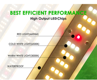 Meilleure lampe de culture LED professionnelle pour l'horticulture en intérieur 2023 Pro 1700e, spectre complet, 1000W