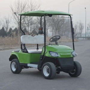 Voiture de golf électrique 2 places de haute qualité, équipée d'un moteur puissant de 3,5 kW pour les hôtels, les stations balnéaires et les zones panoramiques - Product Image 1