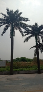 <span class=keywords><strong>Palmera</strong></span> de coco artificial gigante grande personalizada de alta calidad de fábrica, <span class=keywords><strong>palmera</strong></span> artificial de Coco para <span class=keywords><strong>playa</strong></span> al aire libre - Product Image 5