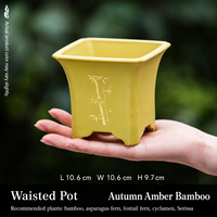 Pot de fleurs en résine pour jardin, style chinois minimaliste, avec plusieurs trous de drainage, pour orchidée de la baie rouge à feuilles fines