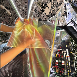 Écran LED flexible Phantom Film P6 P8 P10, panneau transparent en cristal, OEM, garantie 1 an, pour centres commerciaux, éducation, ascenseurs, TOPLED - Product Image 3