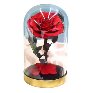 गर्म बिकने वाले संरक्षित असली प्राकृतिक गुलाब फॉरएवर गुलाब संरक्षित गुलाब निर्माता धातु आधार के साथ असली फूल को बचा रहे हैं