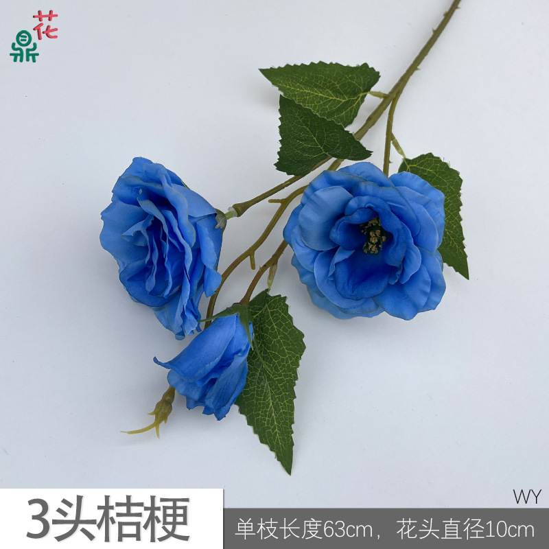 ดอกลิลลี่แห่งหุบเขา 3 หัว สีฟ้า WY
