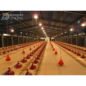 Struttura industriale in acciaio pollame fattoria di pollo prefabbricata verticale allevamento edificio agricolo