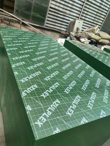 Lámina de Contrachapado Marino de Plástico PP Verde de 4x8 y 18 mm con Revestimiento de Película para Construcción, Diseño Industrial, para Panel de Encofrado - Product Image 6