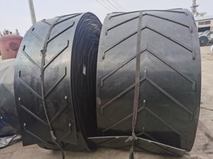 Gıda endüstrisi için en çok satan sonsuz konveyör bant sistemi - Product Image 3