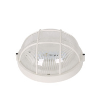 Lampes LED anti-explosion mini 20W, étanches IP67, résistantes aux chocs et aux hautes pressions, pour les prisons