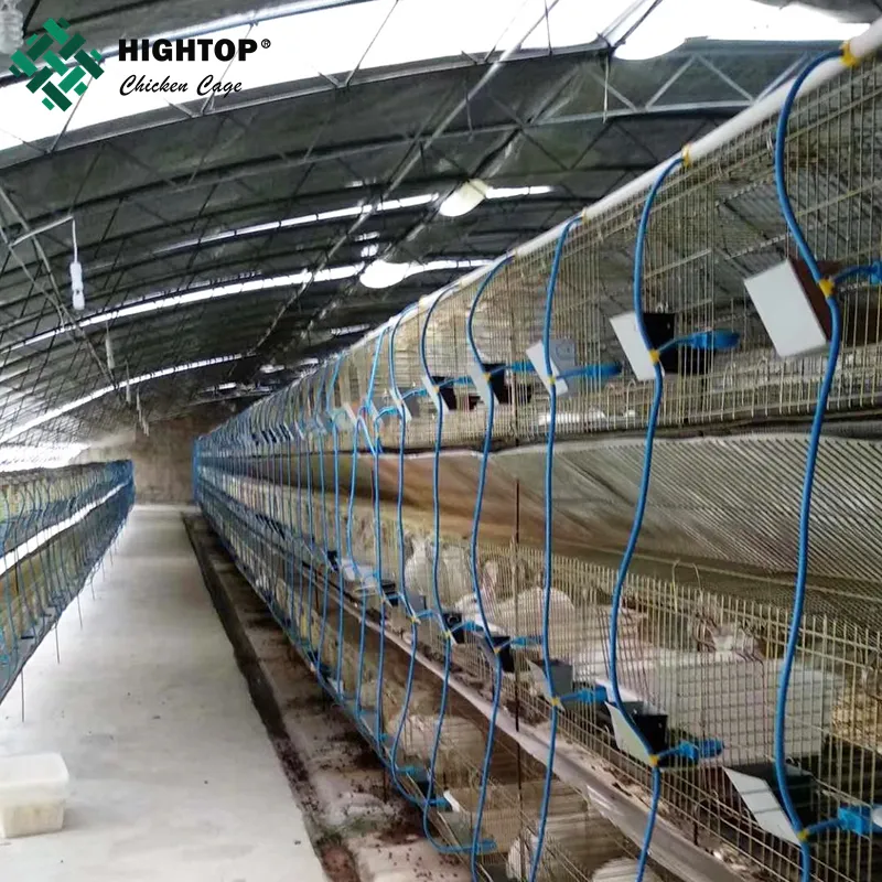 3 Layer Industrial Metal Rabbit Breeding Cages For Rabbit Meat Production