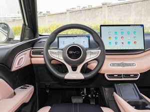 BYD Smart Drive 2025 Usado, Hatchback Eléctrico Inteligente de 55kW, BEV, Volante a la Izquierda, 4 Plazas, Coche Urbano Compacto, Edición Gratuita con 305km de Autonomía - Product Image 5