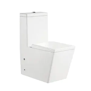 Bathroom Easy to Install White Can Be Customized toilets one piece