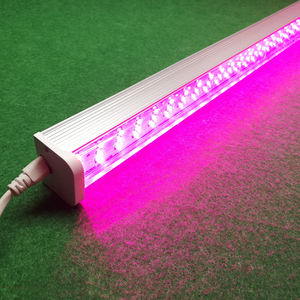 T12 efficiente crescita rapida luci Led Lm301h Evo <span class=keywords><strong>Mars</strong></span> crescita idraulica lampada crescita pianta luce di alluminio Led coltiva luce 800w 100/ - Product Image 2