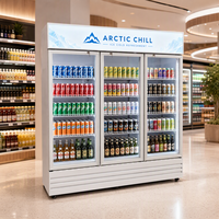 Congélateur vertical commercial pour boissons en acier inoxydable, sans givre, avec contrôle numérique de la température, refroidissement par air, contrôle par application, réglable