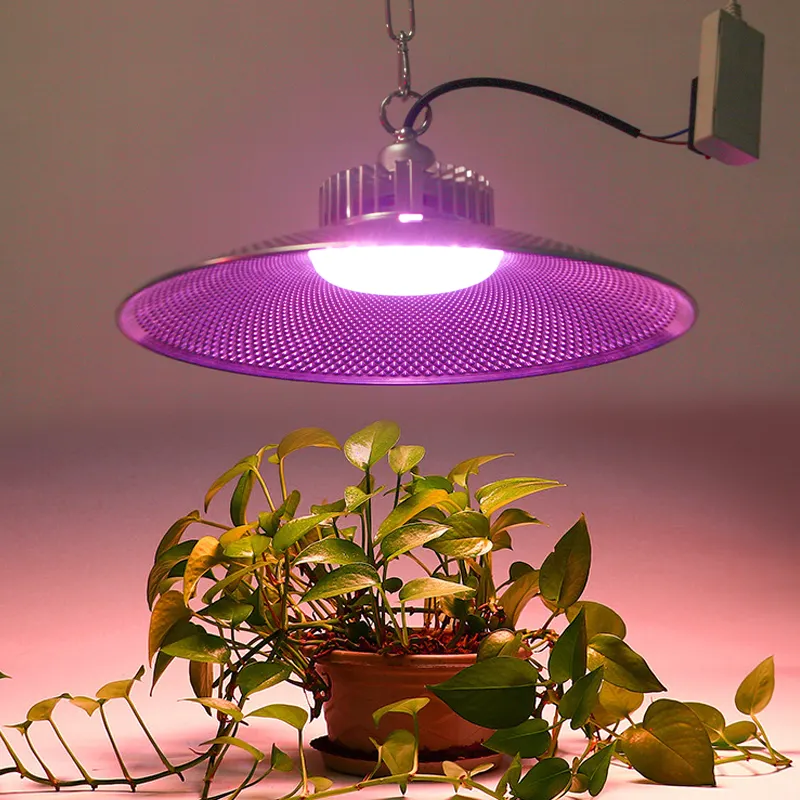 Nieuwe Hete Verkoop Kas Aardbei Dragon Fruit Boerderij Aanplant Ufo High Bay Led Full Spectrum Plant Grow Light