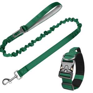 PUPE Best Selling Luxury Durable Strong Anti-Pull <b>Shock</b> Personalized Ribbon Nylon Pet <b>Collar</b> Elastic Colorful Dog Leash - Product Image 2