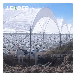 Serre agricole de 1 ha, 9 m, en <span class=keywords><strong>film</strong></span> plastique, tunnel de culture de myrtilles, avec cadre galvanisé pour les baies - Product Image 1