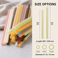 Pailles comestibles personnalisées en amidon de riz, biodégradables, zéro déchet, diamètres 200mm, 230mm, 6mm, 8mm, 12mm – Solution de boisson durable