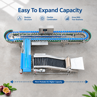 Direct Supply Box Sorteermachine Aangepaste Sorteeroplossing voor Passievruchten en Diverse Tropische Fruitplanten