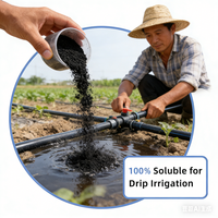 Fertilizante Orgánico Soluble en Agua en Polvo con Ácido Húmico y Humato de Potasio 99% de Pureza de Liberación Rápida para un Mejor Crecimiento de Cultivos