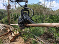 Équipement de coupe forestier multifonctionnel Tête de récolte Yuchai F60 pour excavateur forestier