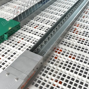 Système d'alimentation et d'abreuvement automatique pour poulets – Équipement pour poulets de chair, reproducteurs et volailles – Ligne d'alimentation en chaîne pour mangeoires à cloches - Product Image 3