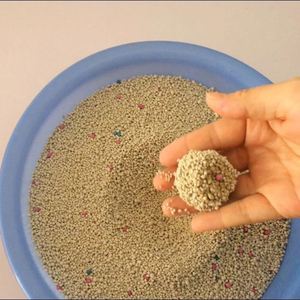 Litière pour chat en bentonite 10 litres, hautement absorbante, agglomération rapide, 99% sans poussière, nettoyage facile, biodégradable, jetable aux toilettes - Product Image 2