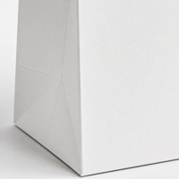 Sacs en papier blancs avec logo personnalisé pour le shopping, emballage de cadeaux de luxe, sacs en papier pour vêtements avec poignée