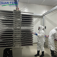 Machine industrielle de lyophilisateur de prix usine pour la bonne qualité de fruits légumes de nourriture pour la machine de dessiccateur de vide de gingembre d'épices