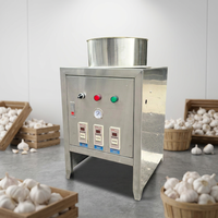 Éplucheuse d'ail industrielle automatique à pression d'air 30 kg/h, machine à éplucher l'ail à petite échelle, équipement de dépeluchage d'ail