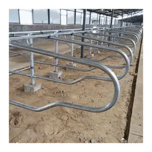 Cow Free Stall Dairy Cattle Free Stalls Portable Cow Cubicles Cattle Livestock Divided Panels Used Cow Free Stall for Dairy Farm