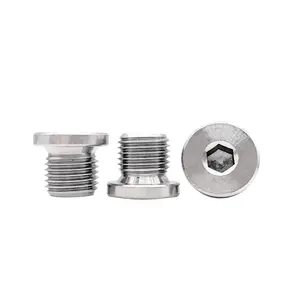 SDPSI DCTHigh quality stainless steel Hexagon socket screw plugs din 908