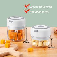 Hachoir à ail électrique en plastique 250 ml, mini hachoir à ail USB, hachoir à oignon, lames en acier inoxydable, robot culinaire portable