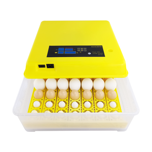 Máquina de incubación de huevos pequeños, controlador de temperatura y humedad, bandeja de plástico, pescado, profesional - Product Image 3