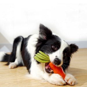 Jouet interactif pour chien en caoutchouc, en forme de carotte, amusant, indestructible et couineur, pour mâcheurs agressifs, vente en gros - Product Image 4