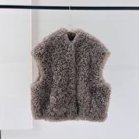 Gilet en fourrure d'agneau de qualité supérieure pour femmes, doublé de peau de mouton, col en V, boutons cachés, gilet chaud en fourrure, pour les trajets quotidiens